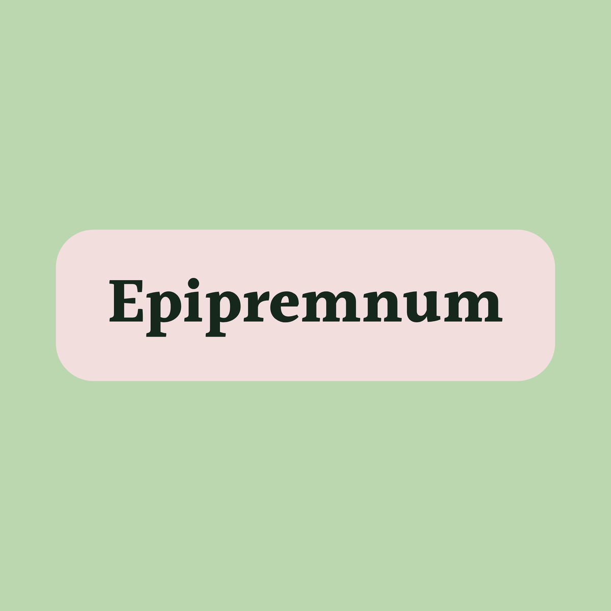 Epipremnum