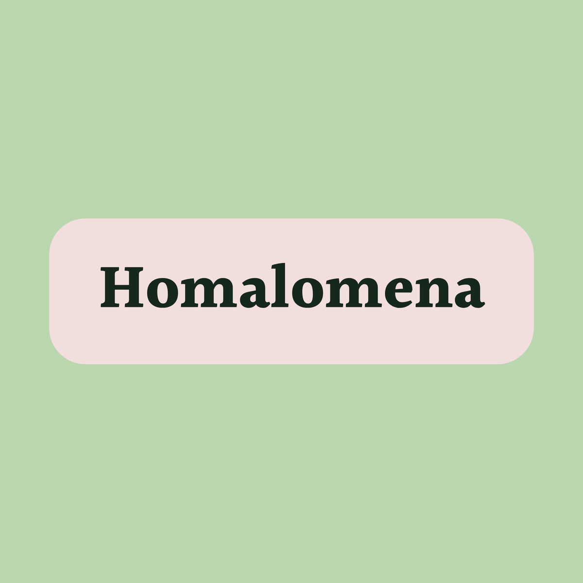 Homalomena