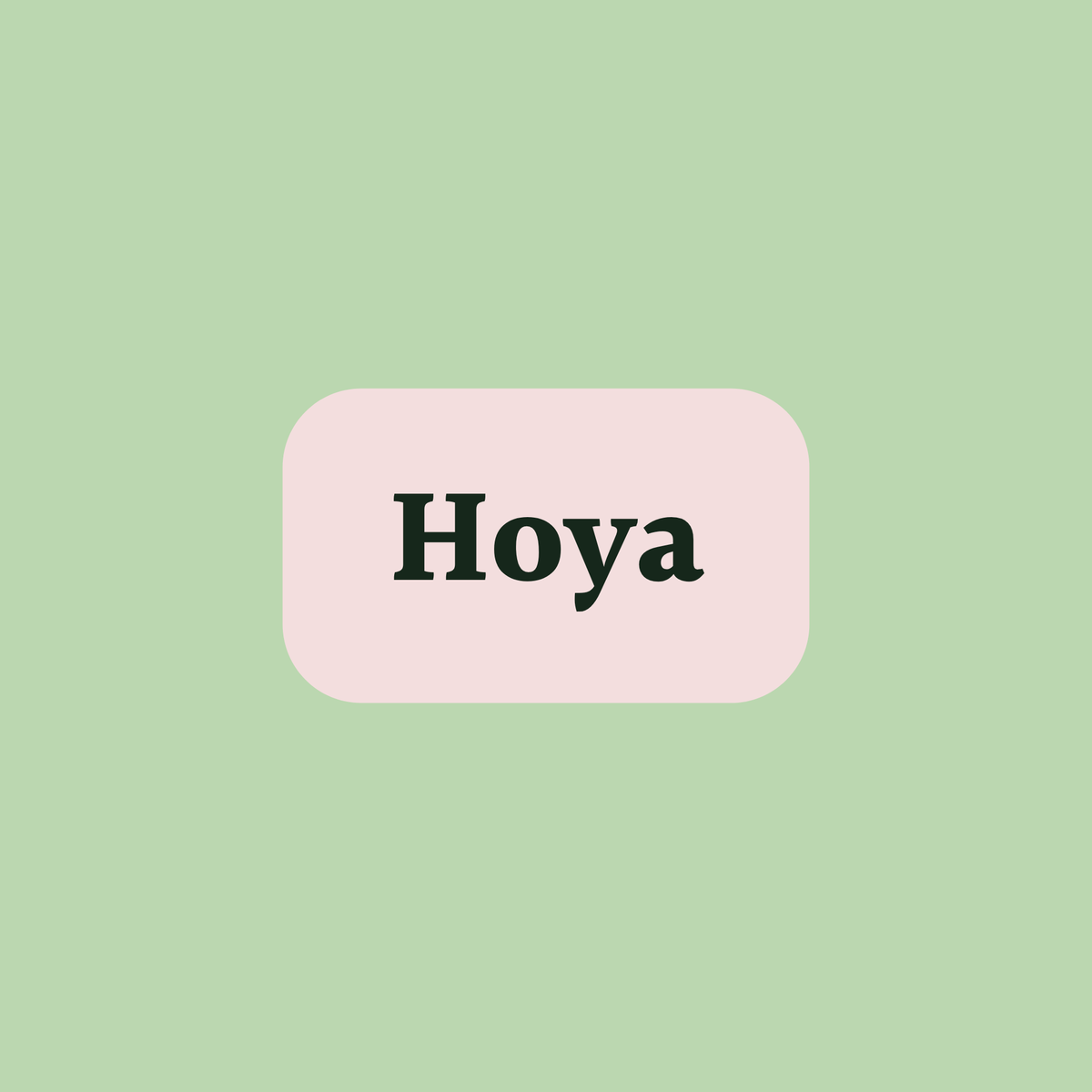 Hoyas