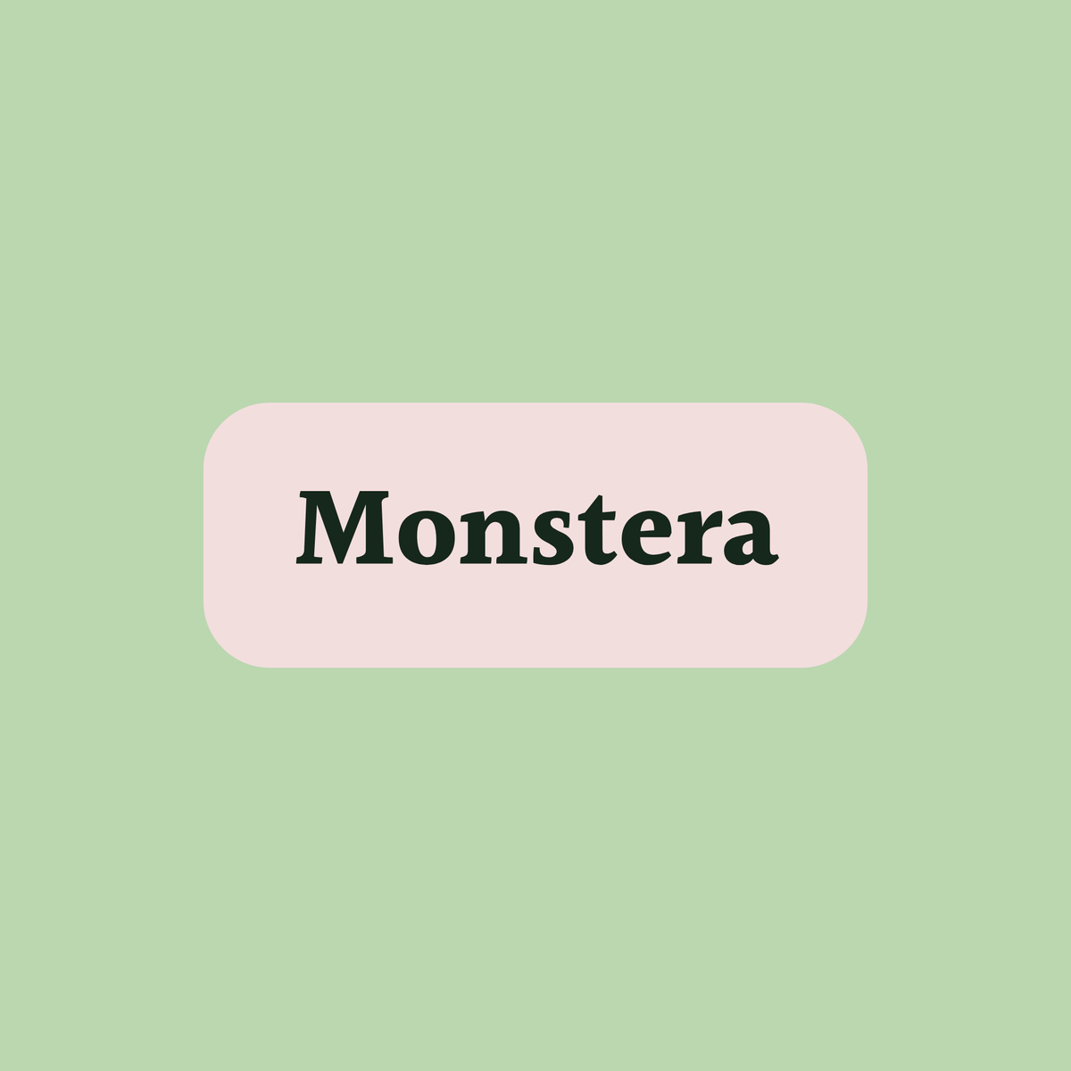 Monstera