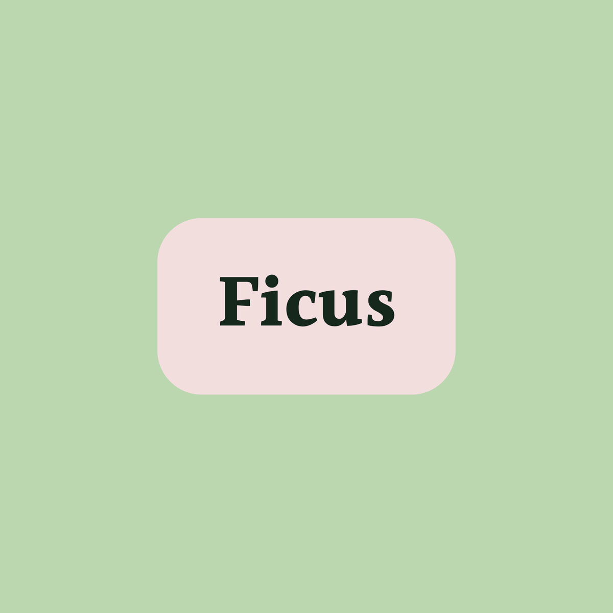 Ficus