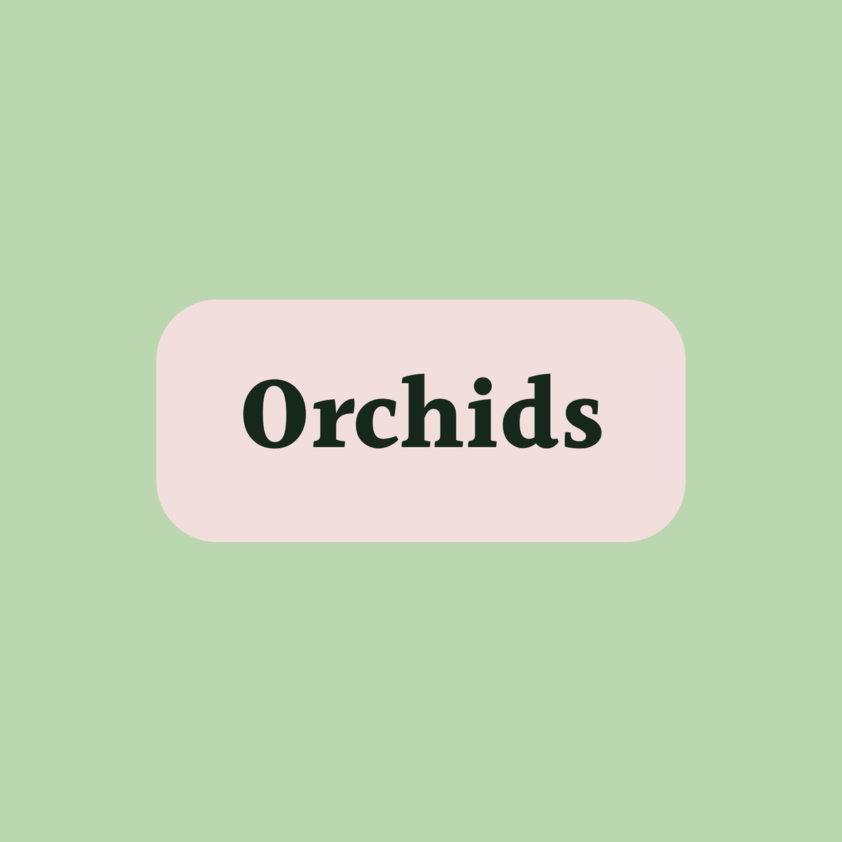 Orchids
