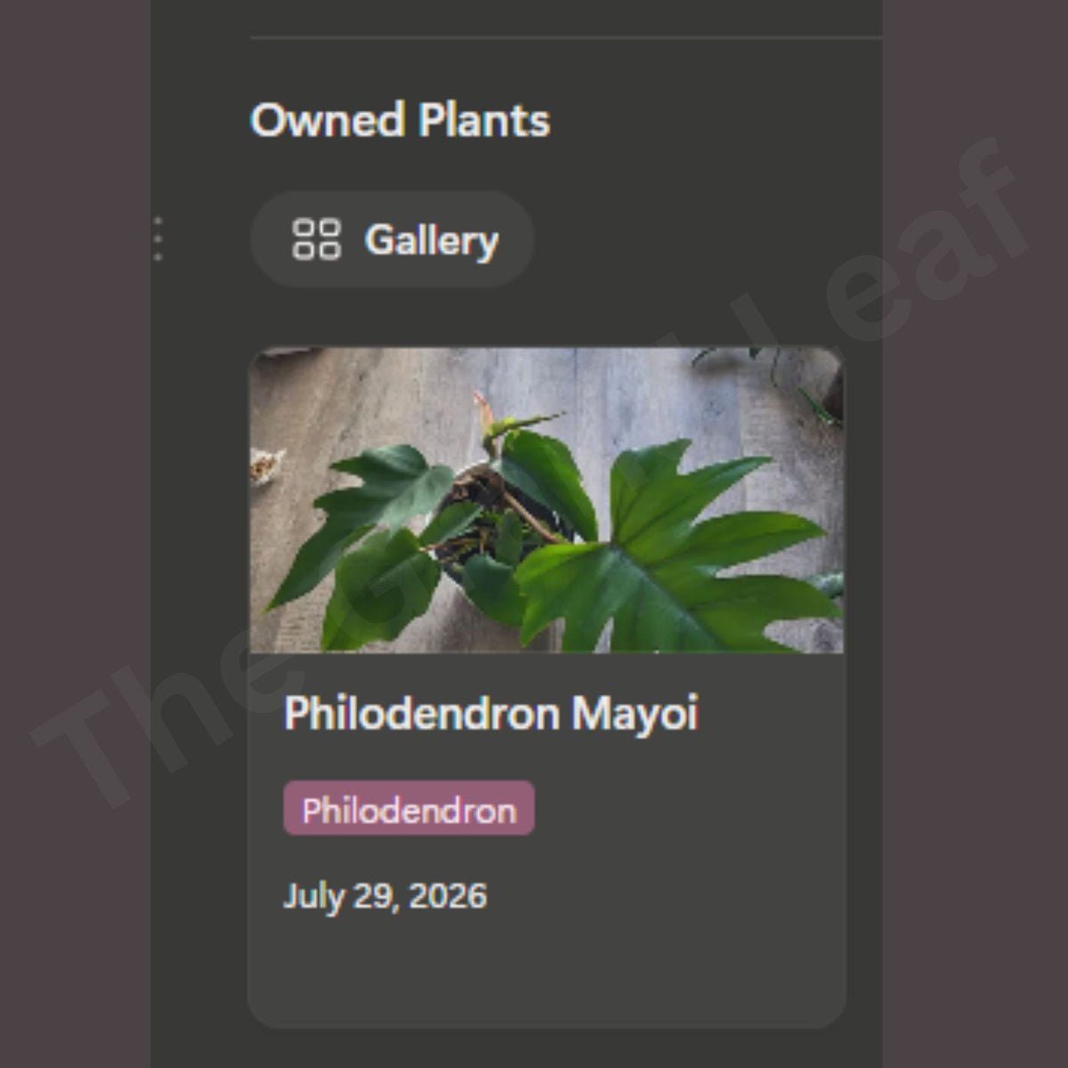 The Plant Collector's Toolkit - Notion Template