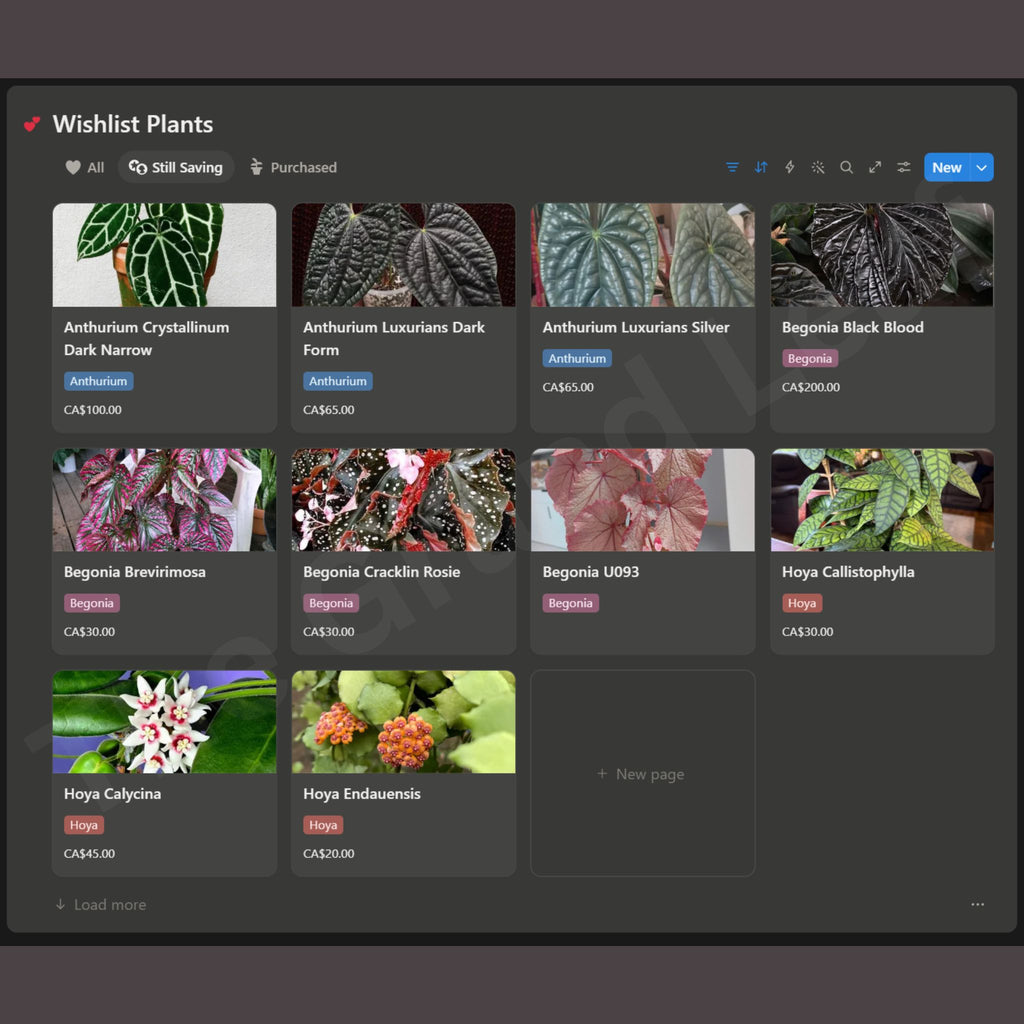 The Plant Collector's Toolkit - Notion Template