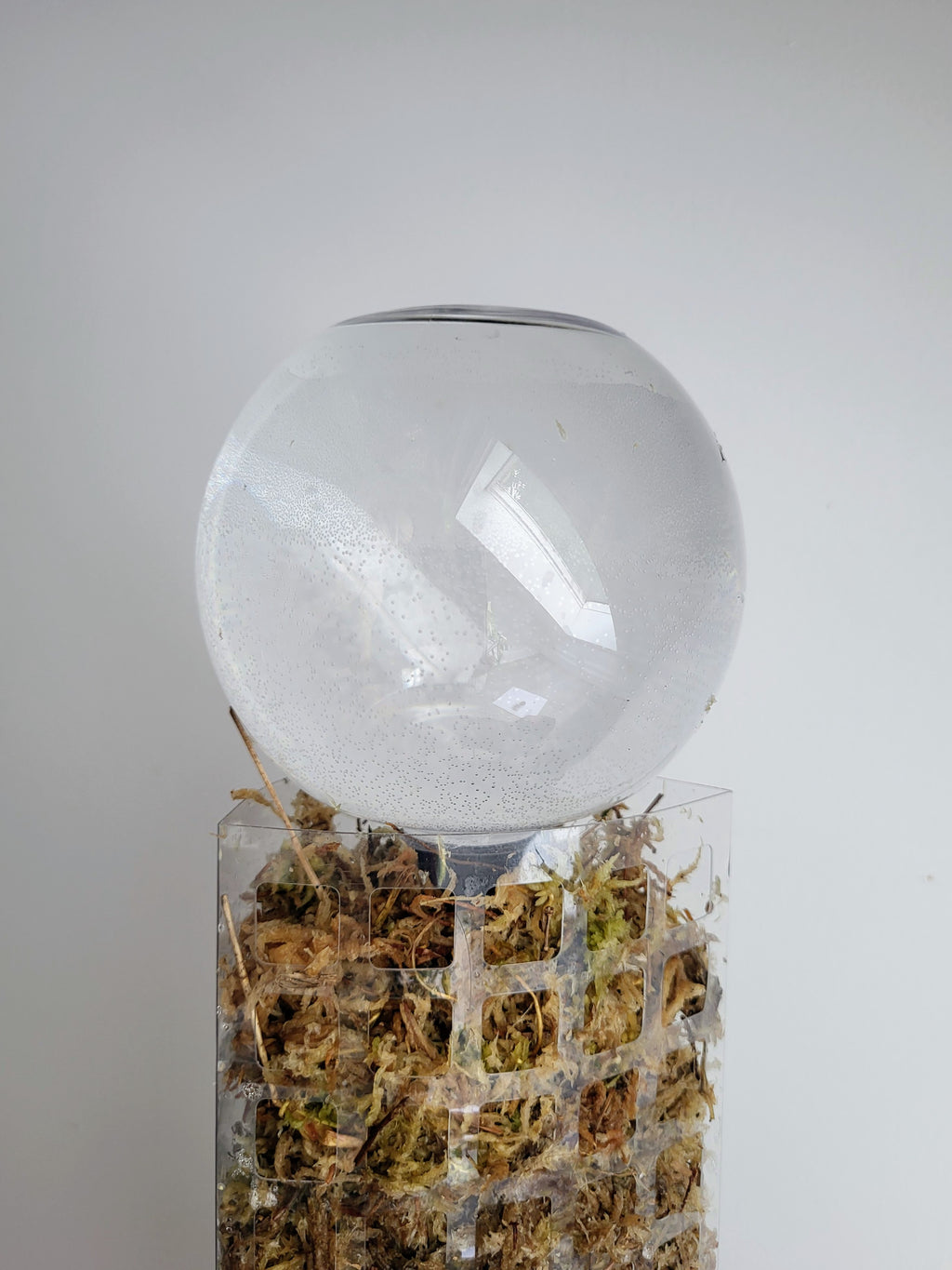 D-Shaped Self-Watering Moss Pole