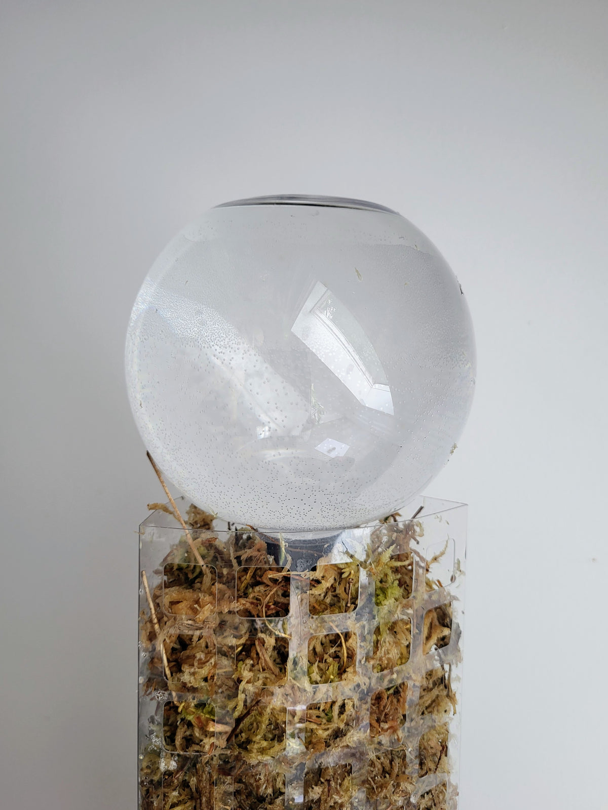 D-Shaped Self-Watering Moss Pole