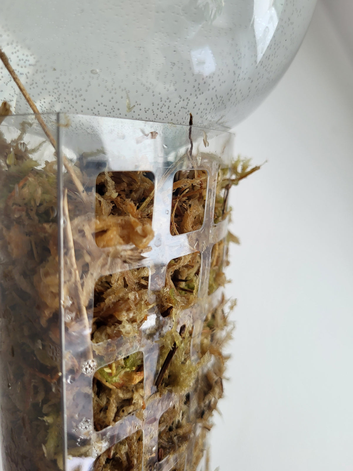 D-Shaped Self-Watering Moss Pole