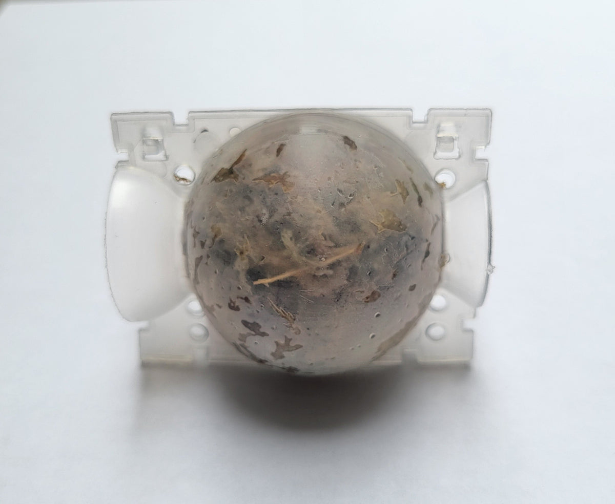 Propagation Globe with Sphagnum Moss - Ready to Use